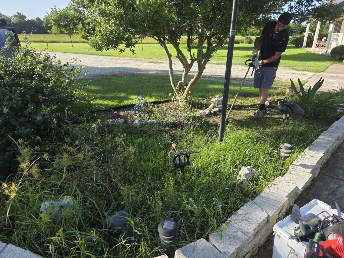 Before: overgrown bed